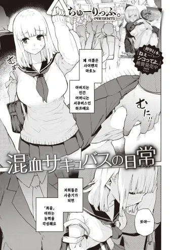 [Tulip] Konketsu Succubus no Nichijou | 혼혈 서큐버스의 일상 (COMIC X-EROS #82) [Korean] [Digital] manga cover