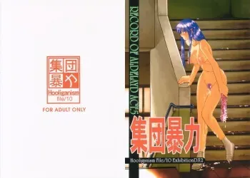 [Shuudan Bouryoku (集団暴力)] HOOLIGANISM File/10 RECORD OF ALDELAYD ExhibitionDX2 manga cover