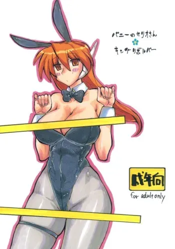 (C73) [King Revolver (Kikuta Kouji)] Bunny no Serio-san (To Heart) manga cover