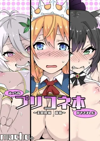 Ecchi na PriConne Bon ga Dekimashita ~Bishokuden Hen Zenpen~ manga cover