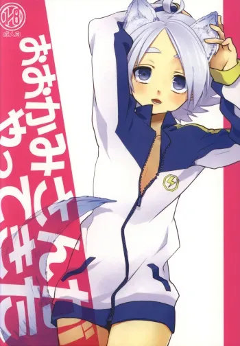 (Seishun Cup 2) [Shurashushushu (Omori Unko)] Ookami-san ga Yattekita (Inuzuma Eleven) manga cover