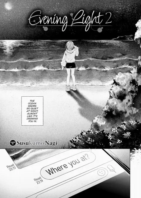 Evening Light 2 manga cover