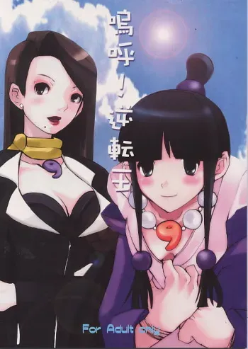 (C62) [Bokuto-kitan (Tamanoi Iroha)] Aa! Gyakuten Ou (Gyakuten Saiban) manga cover