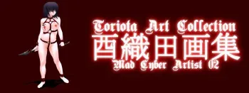 [Dark Angel (Toriota)] Mad Cyber Artist 02 manga cover