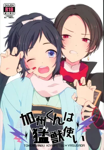 (Chou Senka no Toki 25) [Nicomarch (Plico)] Kashuu-kun wa Moujuutsukai (Touken Ranbu) [English] [Anmitsu Dojo] manga cover