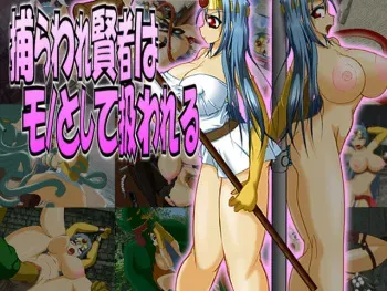 [Mousou Gekijou] Toraware Kenja wa Mono to Shite Atsukawareru (Dragon Quest III) manga cover