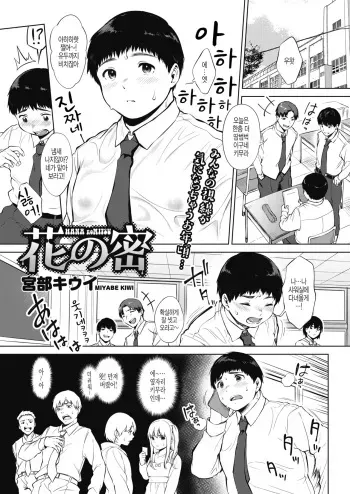 [Miyabe Kiwi] HANA no MITSU (COMIC HOTMILK 2020-04) [Korean] [Digital] manga cover