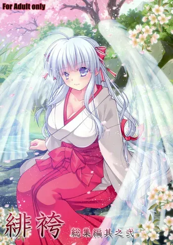 (C105) [Akai Shougeki (Yamamoto Kazue)] Soushuuhen II [Digital] manga cover