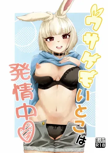 (C107) [Masurao (Various)] Usakemo Itoko wa Hatsujouchuu manga cover