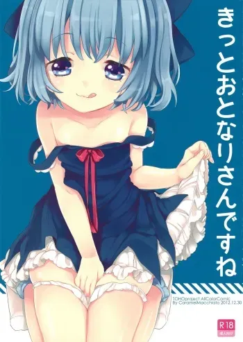 (C83) [Caramel Macchiato (Maki)] Kitto Otonari-san desu ne | Obviously The Neighbor (Touhou Project) [English] [Kameden] manga cover