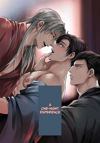 A One-Night Experience manga cover