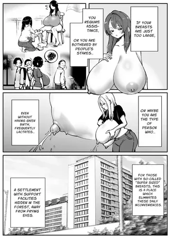 CHounyuu-san Hogo Shisetsu no Gakkou 1+2 manga cover