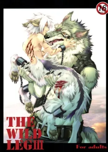 (C78) [GoldenDawn89 (Karitaka Akira, Ono Nui)] THE WILD LEG III manga cover