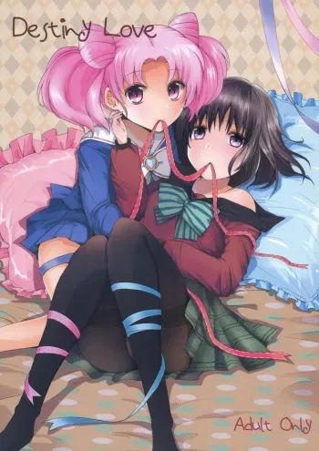 (C83) [momoirohoppe (Rei)] Destiny Love (Bishoujo Senshi Sailor Moon) manga cover