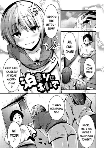 [Bookmoun10] Tomari ni Oide | Come Stay the Night (Chibi Ana Yarihoudai 1300-en) [English] {Mistvern + Bigk40k} [Digital] manga cover