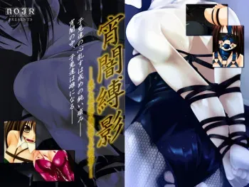[Evergreen] Yoiyami Bakuei —Hoshi Naki Yoru ni Namida no Shizuku wa Nomarete Kieru— Network Package manga cover