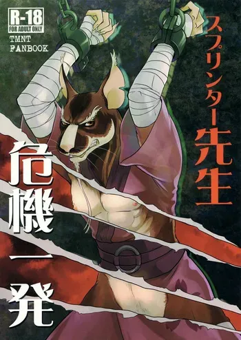 (Fur-st 8) [INK (Kreuz, Kandagawa Gufu)] Splinter Sensei Kikiippatsu | Splinter Sensei's Crisis (Teenage Mutant Ninja Turtles) [English] [rjdog116] manga cover