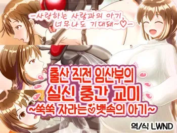 [Nanaban Chamaru dou] Shussan Chokuzen Ninpu no Shisshin Mushi Koubi ~Sukusuku Onaka no Aka-chan~ [Korean] [LWND] manga cover