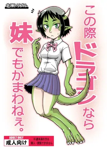 [Kitakami Triple] Konosai Dragon nara Imouto demo Kamawanee. [Digital] manga cover