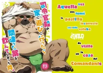 [WILD STYLE (Ross)] Shirei-kan-dono no Ie ni Asobi ni Ittara Machigatta Kusuri o Nonde Shimatta ken. | Aquella vez que tomé la medicina incorrecta cuando estaba de visita en la casa del Comandante. (Tokyo Afterschool Summoners) [Español] [Digital] manga cover