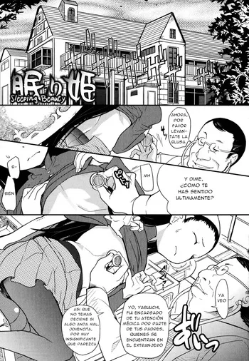 Nemuri Hime - Sleeping Beauty manga cover