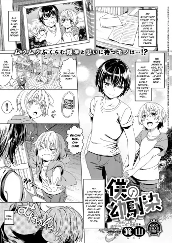 Boku no Osananajimi | My Childhood Friend manga cover
