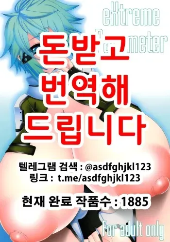 [elflite (Agata Akira)] eXtreme Parameter (Sword Art Online) [Korean] [Digital] manga cover