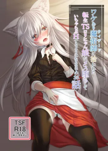 [Tempest (Imaki Ten, sorono)] Wakeari Majutsushi ni Hirowareta Tensei TS Loli Nyanko ga Mesu Ochi shite IchaLove H suru You ni Naru made no Ohanashi [Digital] manga cover