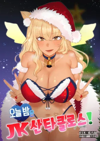 (C99) [Kishoutou (KISA)] Koyoi wa JK Santa ssho! | 오늘 밤은 JK 산타클로스! (Fate/Grand Order) [Korean] [dj2020] manga cover