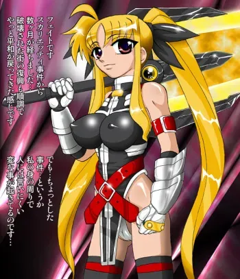[Shippo Banchou (Hoshino Cobato)] Fate 19 (Mahou Shoujo Lyrical Nanoha) manga cover