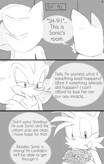 Sonadow Mpreg Birth [JayAero] manga cover