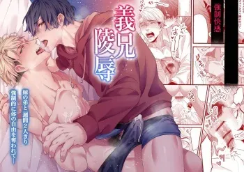 Brother In Law Assault manga cover