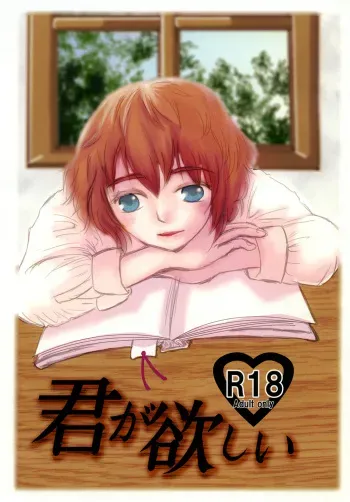 (Mimiket 29) [Dokudan to Henken (Harumaki)] Kimi ga Hoshii manga cover