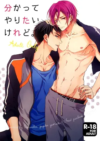 Wakatte yaritai keredo manga cover