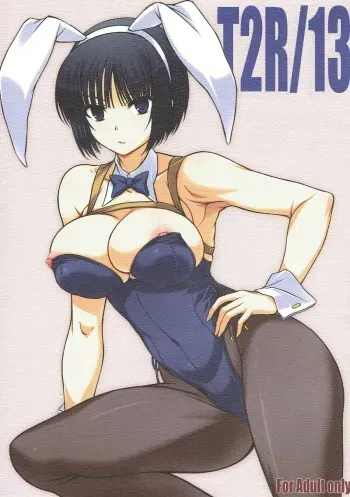 (C93) [BRIEST (Yatsushima Tetsuya)] T2R/13 (Various) manga cover