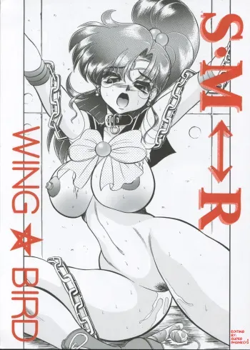 (C62) [Jingai Makyou Club (Wing☆Bird)] S·M↔R (Sailor Moon) [English] manga cover