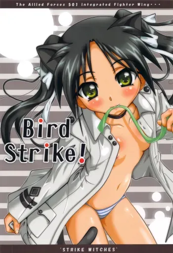 Bird Strike! manga cover