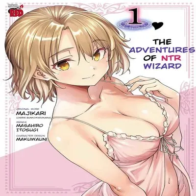 The Cuckolding Wizard's Adventure [Original] manga cover