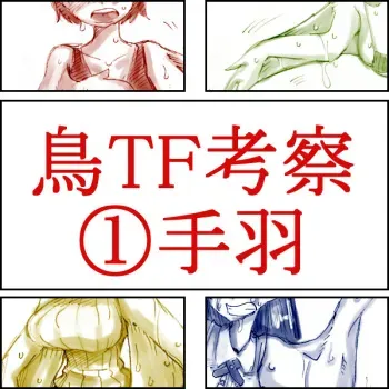 [Koganemushi] Tori TF ni Kansuru Kousatsu to Renshuu manga cover