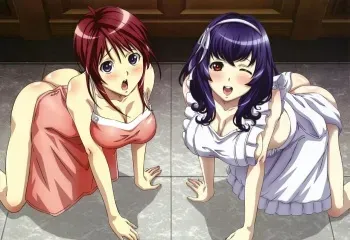 Yamanobe Tomo (Seikon No Qwaser) manga cover