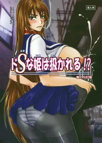 (C82) [Nozarashi (Nozarashi Satoru)] Do-S na Hime wa Shigokareru!? manga cover