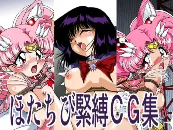 [Thirty Saver Street 2D Shooting] Hota Chibi Kinbaku CG Shuu (Sailor Moon) manga cover