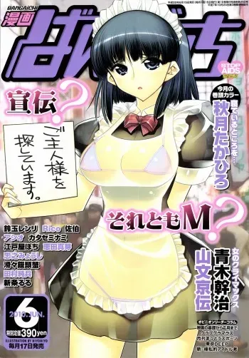 Manga Bangaichi 2010-06 [Incomplete] manga cover