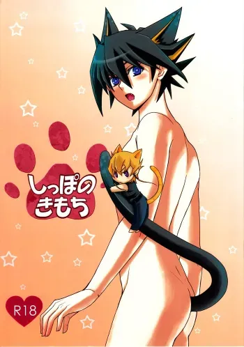 (C78) [Soushinbako @YGO! (Nikami Yukitaka)] Shippo no Kimochi (Yu-Gi-Oh! 5D's) manga cover