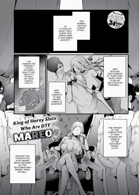 Succubus-chan and Big Dick-kun - Ch.1 manga cover