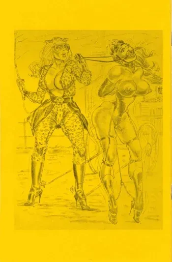 Stanton-Blunder Woman 04 manga cover