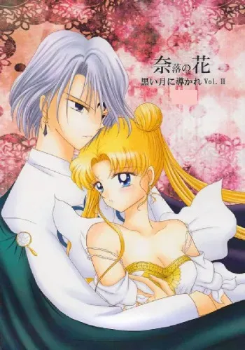 [Sailor Moon] Kuroi Tsuki ni Michibikare Vol.2+3 (sample & cover ONLY) manga cover