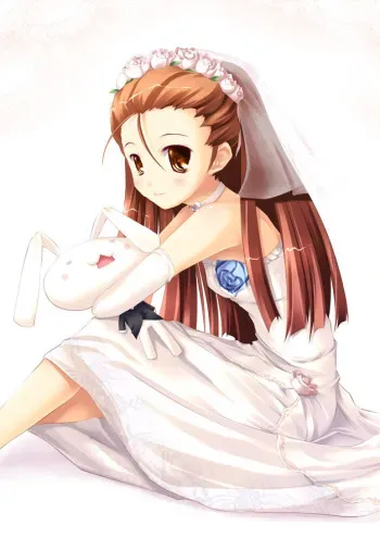 Beauties in Wedding Dress 03 manga cover