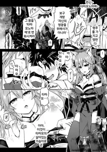[Taniguchi-san] Tamamo no Oppai ni Umoretai | 포 섬원즈 글로리 (Fate/Grand Order) [Korean] manga cover