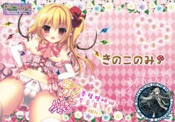 (C83) [Kinokonomi (kino)] Flan-chan ni Hizamazukinasai!! (Touhou Project) [Korean] [WestVatican] manga cover